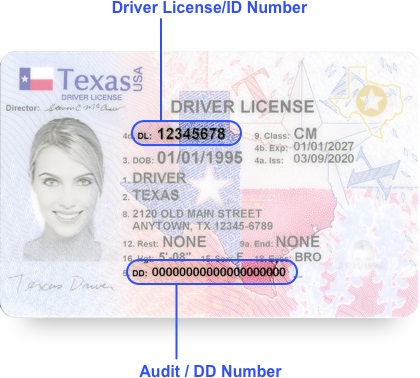 License Number Example