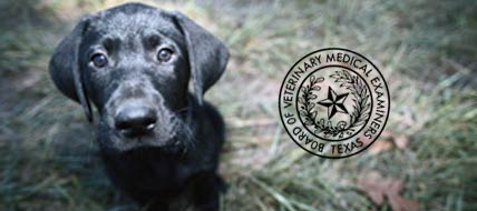Texas State Board of
Veterinary Medical Examiners